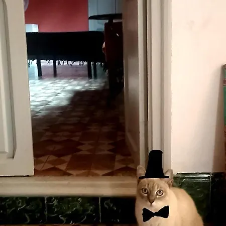 Casa Artistica Alojamiento Entero. *
